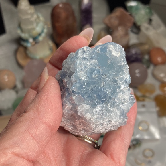 Live - Picture 9 of 15